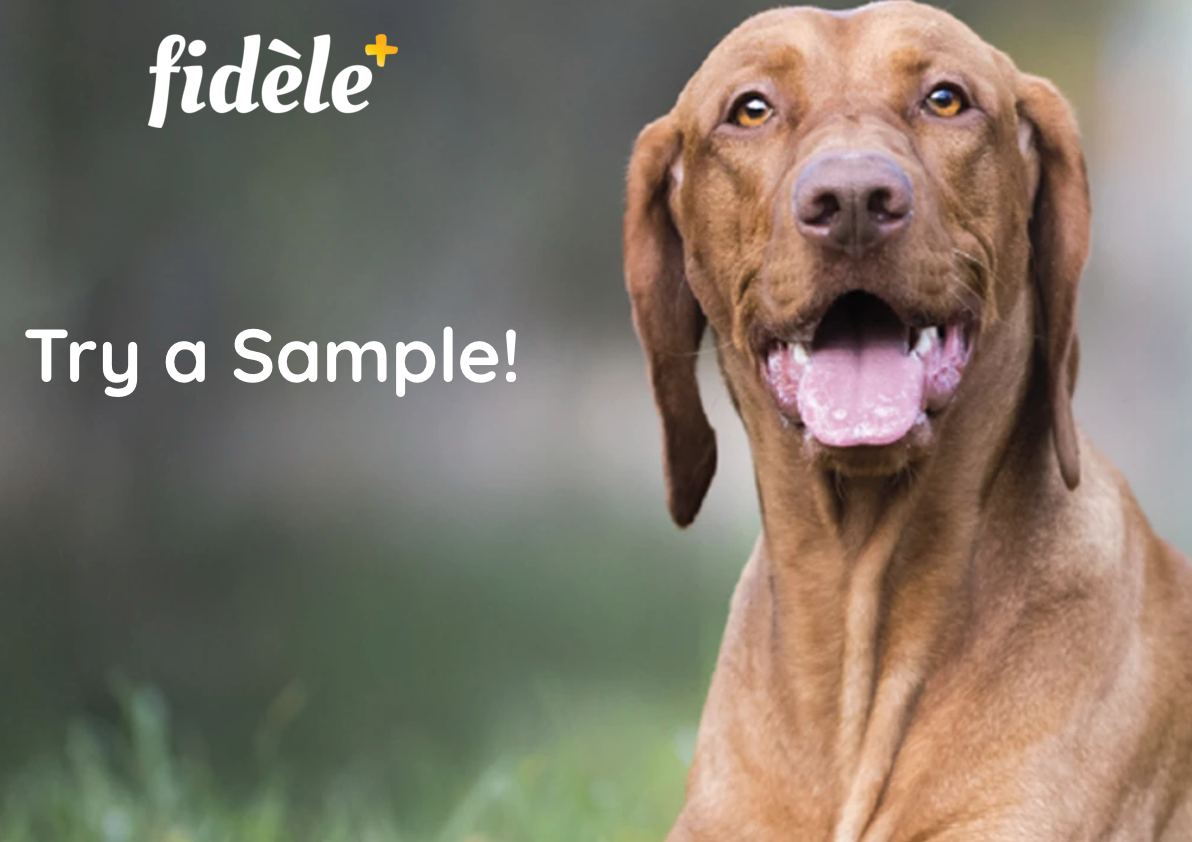Get Fidele+ Dog Food Samples For Free | All Cities