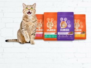 FREE Dog & Cat Food Samples In India From ‘IAMS’ | Free Shipping