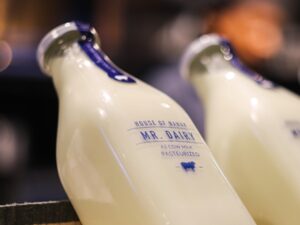 Mr.Dairy: Get Free Sample of Milk